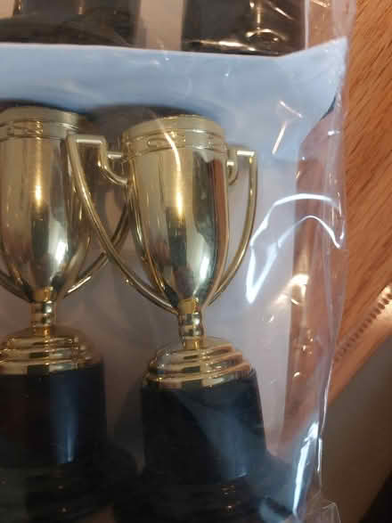 Photo of free Mini plastic trophies (downers grove) #3