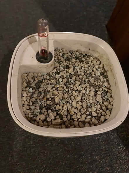 Photo of free Lechuza self watering plant pot (Wolverley DY11) #2