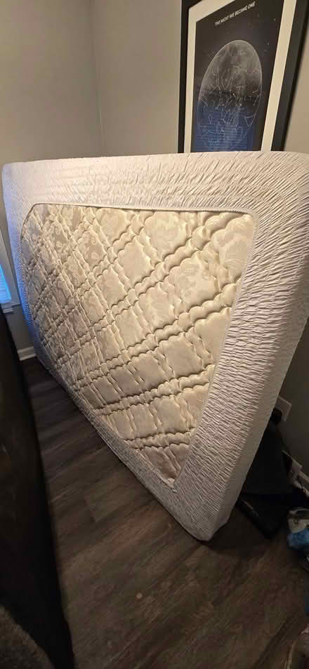 Photo of free Queen mattress and box springs (Macon Rd.) #1