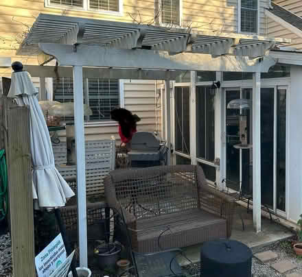 Photo of free 8’ x 10’ white metal pergola (North Raleigh) #2