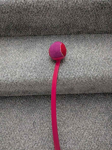 Photo of free Ball Launcher (Beulah Hill SE19) #1