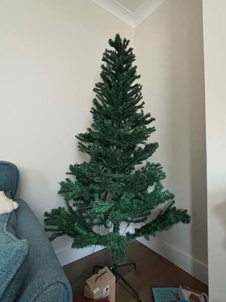 Photo of free Christmas tree (Coley Ave Area RG1) #1