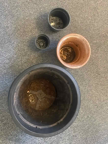 Photo of free Various pots (Dalston N16) #2