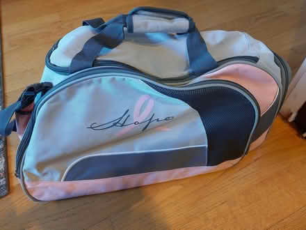 Photo of free Pink and grey duffel bag (downers grove) #1