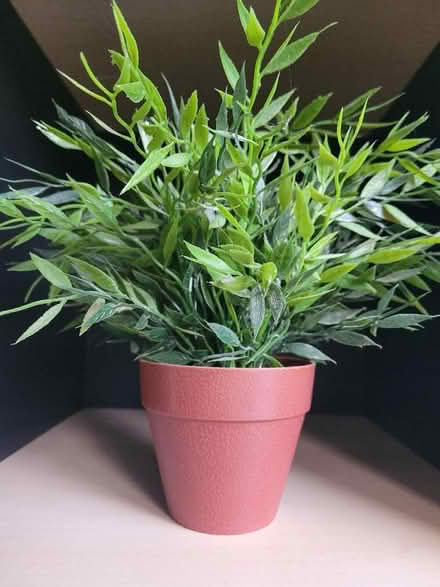 Photo of free Fake plant in pot (Ikea) (Shenley Fields B29) #2
