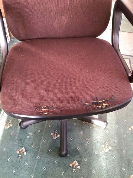 Photo of free Office Chair (IP3) #2