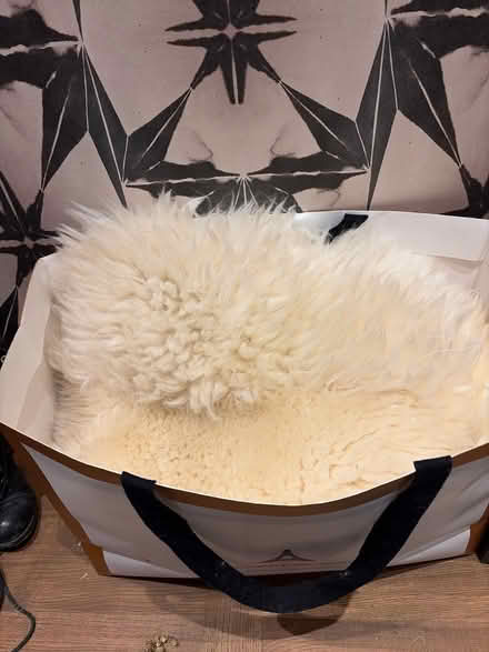 Photo of free Sheepskin scrap (W12) #2