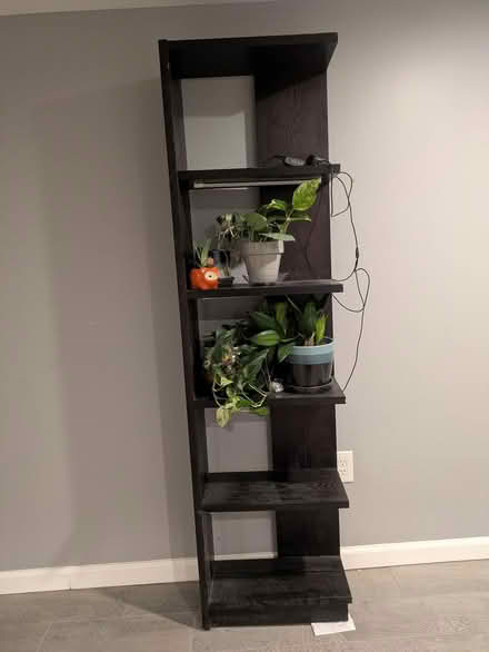 Photo of free Book shelf, dark cherry (Petworth) #1