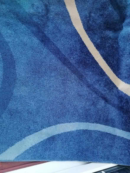 Photo of free Blue rug (Presteigne LD8) #1
