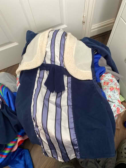 Photo of free Kids Fancy Dress Outfits (B77) #3