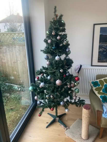 Photo of free 6ft Christmas tree (Moortown LS6) #1