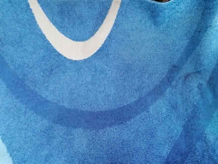Photo of free Blue rug (Presteigne LD8) #2