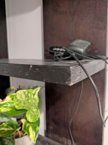 Photo of free Book shelf, dark cherry (Petworth) #3