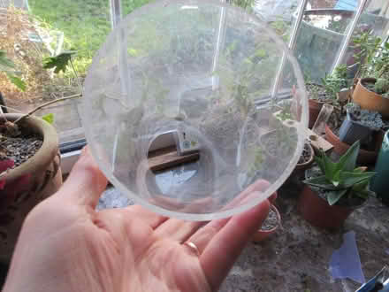 Photo of free Tall rigid perspex tube (Dublin 12) #1