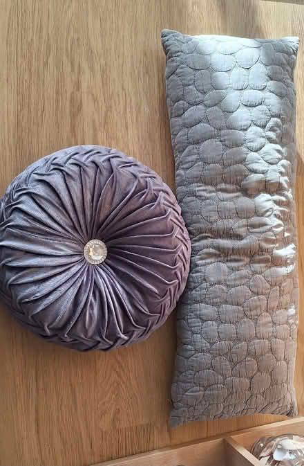 Photo of free Two grey cushions (Elvetham Heath GU51) #1