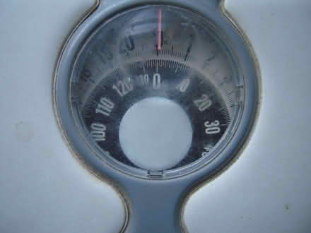 Photo of free Salter personal weighing scale (Maidenhead SL6) #2