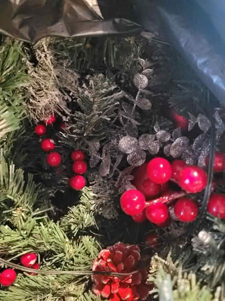 Photo of free Christmas garland with lights (OX15 bloxham) #1