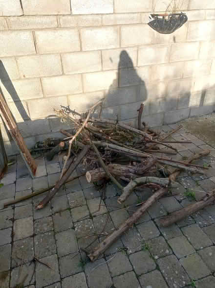 Photo of free tree cuttings - fire wood (Harmonstown) #3