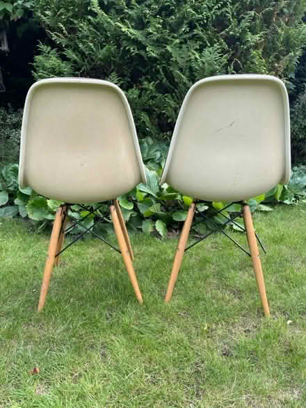 Photo of free Eames dining chairs x 2 (Banstead) #2