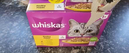 Photo of free 4 Whiskas Poultry sachets in jelly (Redhouse, Swindon, SN25) #1