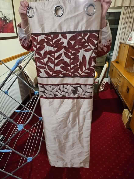 Photo of free Pair of Curtains and Tie-Backs (Ibstock LE67) #1
