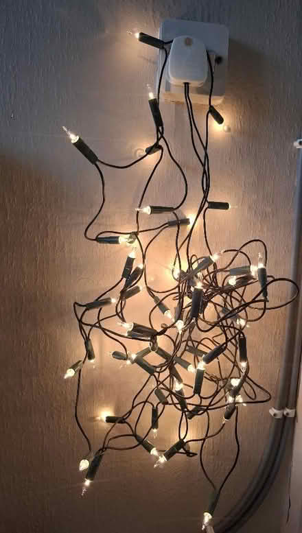 Photo of free Warm white fairy lights (The Ronkswood WR4) #1