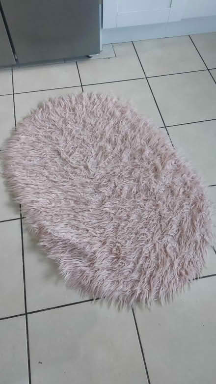 Photo of free Pink fluffy rug (Eastergate PO20) #1