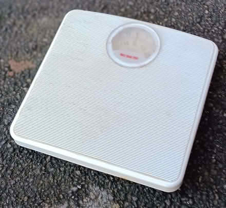 Photo of free scales (Bussage GL6) #1