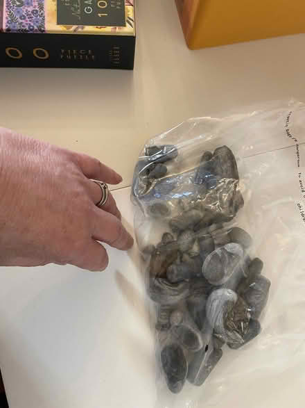 Photo of free Small bag of fossils (Lochend EH6) #2