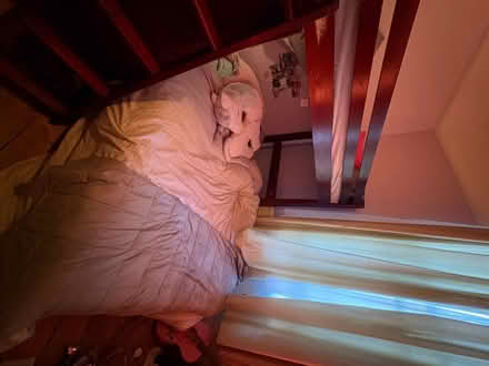 Photo of free Single platform bed and mattress (Finsbury Park N4) #3