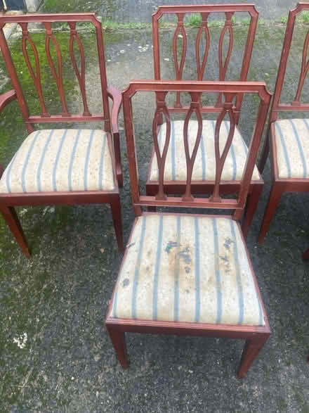 Photo of free Chairs x 6 (Perrystown Dublin 12) #3