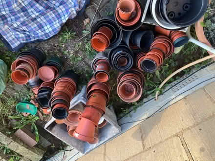 Photo of free Plant pots (Twerton) #3