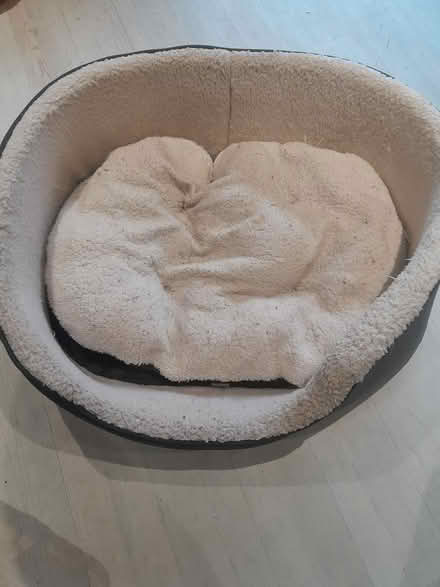 Photo of free Medium Dog bed (Whitefield M45) #1