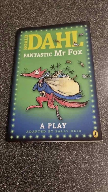 Photo of free Roald Dahl Play adaptation books (Locksheath SO31) #3