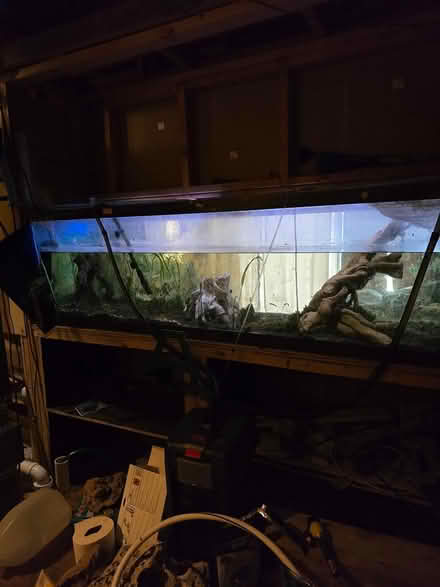 Photo of free 125 gal aquarium and accessories (Bellevue Farms) #2