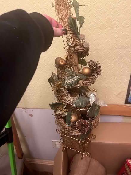 Photo of free Tree (Maidstone ME15) #1