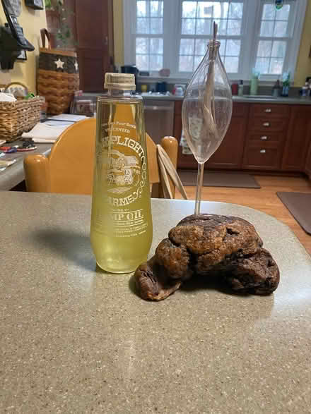 Photo of free Decorative "hurricane lamp" (East side of Columbia) #1