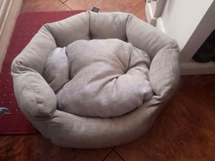 Photo of free Small dog bed (Mousehold NR3) #1
