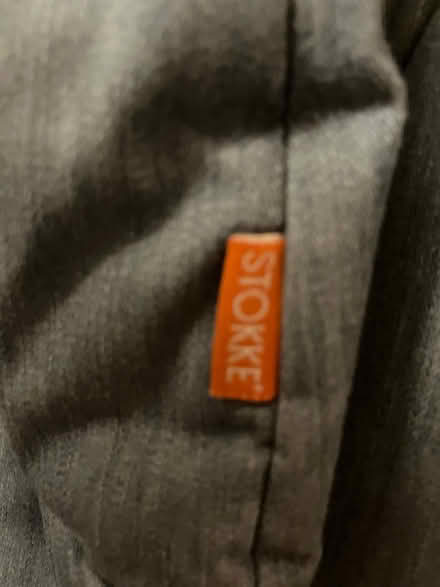 Photo of free Baby bouncer (Huish Episcopi, Langport) #4