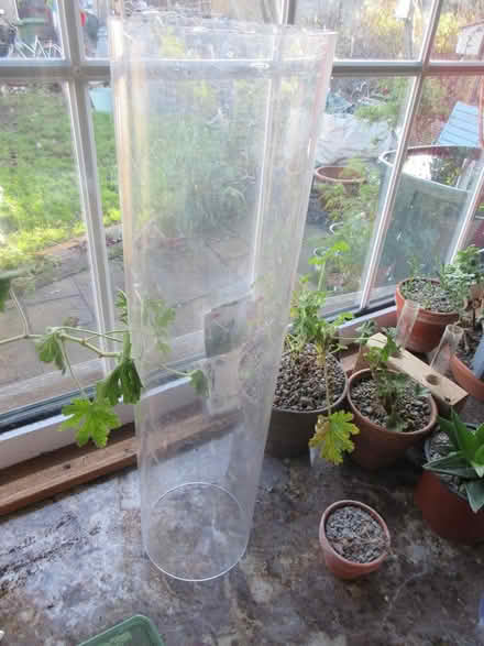Photo of free Tall rigid perspex tube (Dublin 12) #2