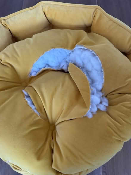 Photo of free Cat bed (TW9) #2