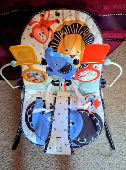 Photo of free Whicker moses basket with all bedding and baby bouncer (Middlezoy TA7) #3