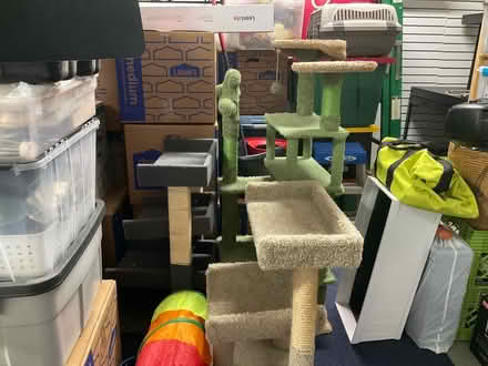 Photo of free Cat trees (Carson st and woodruff) #1