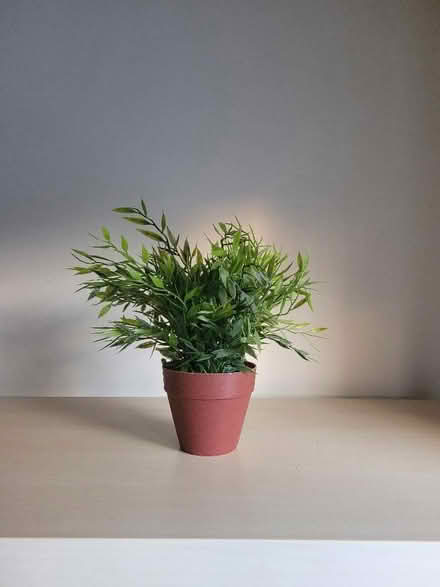 Photo of free Fake plant in pot (Ikea) (Shenley Fields B29) #1