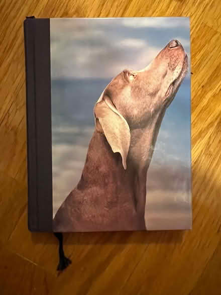 Photo of free Journal (Porter Square) #1