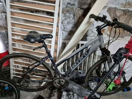 Photo of free Carrera women's bike (Bear Flat) #1