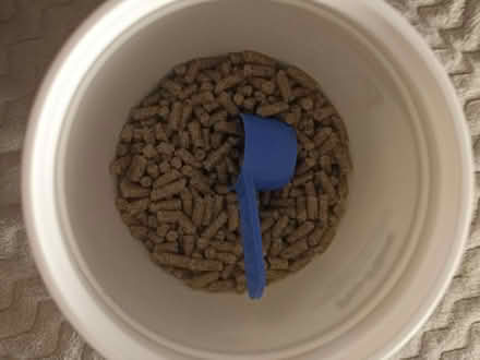 Photo of free Pro-fibre fir dogs and cats (Romford RM1) #2