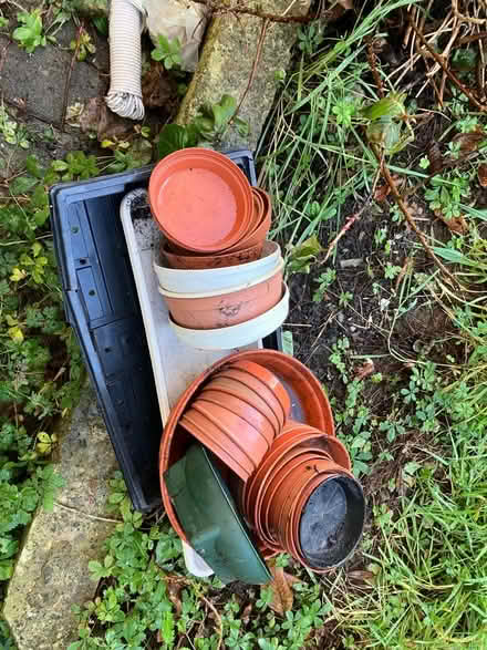 Photo of free Plant pots (Twerton) #1