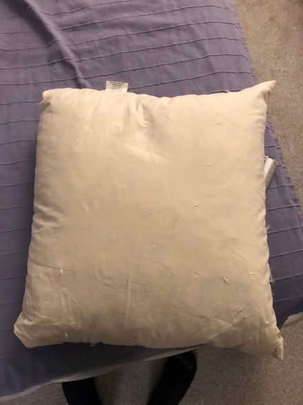 Photo of free Cushions fillers (South Malling BN7) #1