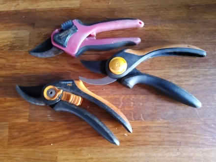 Photo of free Secateurs (Cherry Orchard) #1